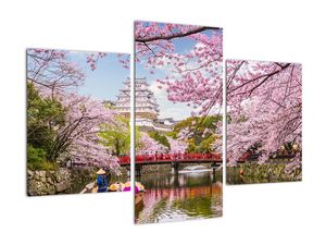 Modern képek - táj