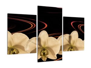 Modern kép - virágok